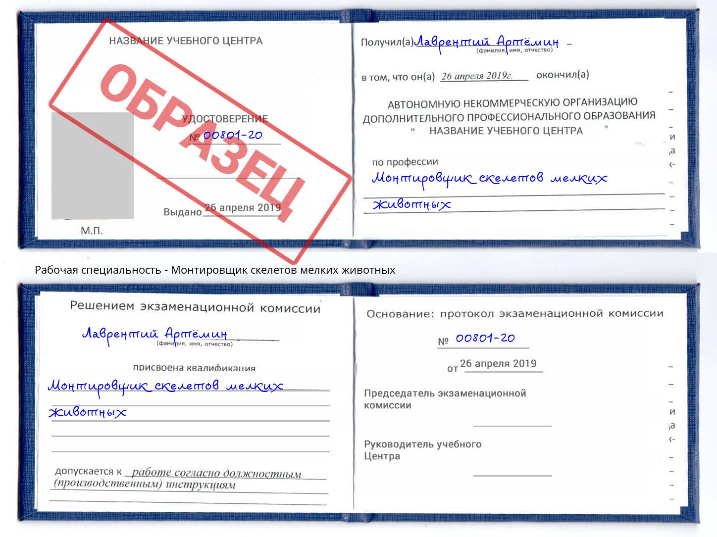 Монтировщик скелетов мелких животных Обнинск