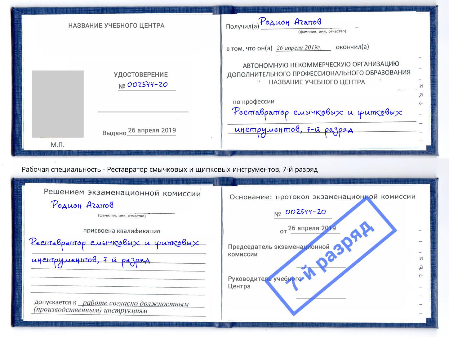 корочка 7-й разряд Реставратор смычковых и щипковых инструментов Обнинск